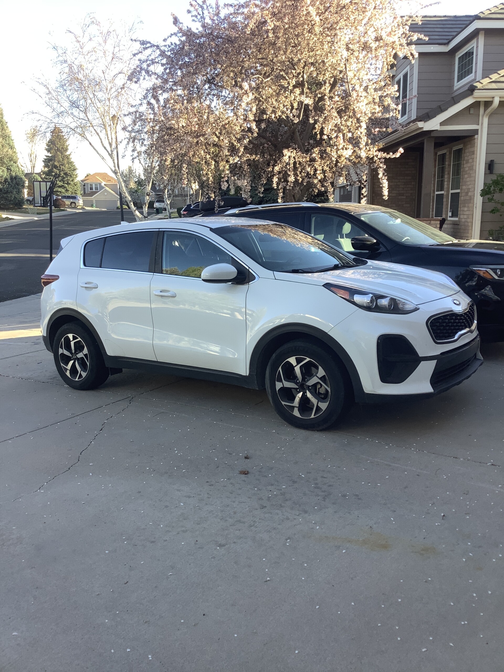 
								Kia sportage 2020 full									